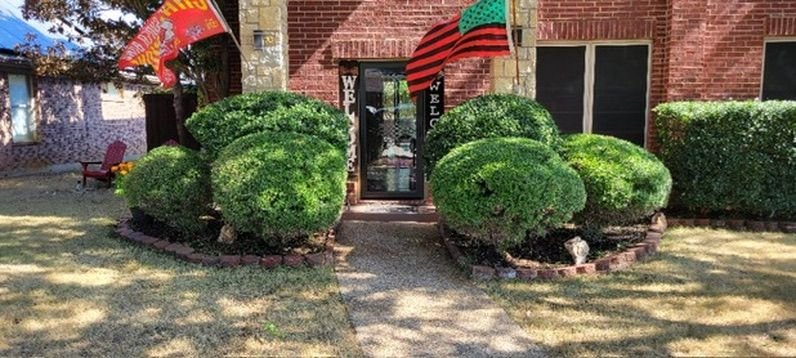 Outdoor tree service work